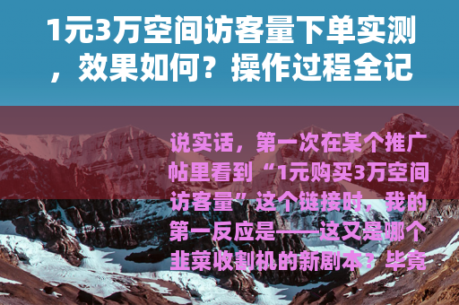 1元3万空间访客量下单实测，效果如何？操作过程全记录
