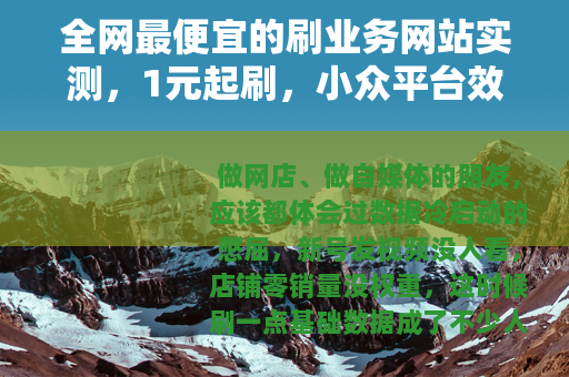 全网最便宜的刷业务网站实测，1元起刷，小众平台效果让人意外