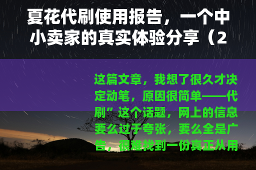 夏花代刷使用报告，一个中小卖家的真实体验分享（22字）