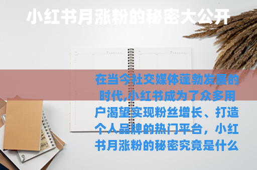 小红书月涨粉的秘密大公开 小红书月涨粉的秘密大公开