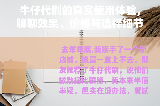 牛仔代刷的真实使用体验，聊聊效果、价格与选择细节