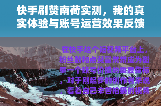 快手刷赞南荷实测，我的真实体验与账号运营效果反馈