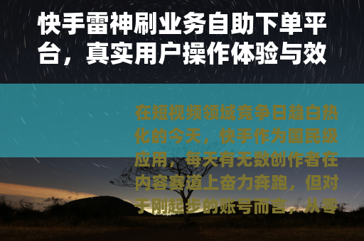 快手雷神刷业务自助下单平台，真实用户操作体验与效果全面评测