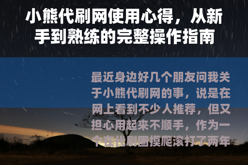 小熊代刷网使用心得，从新手到熟练的完整操作指南
