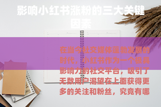 影响小红书涨粉的三大关键因素