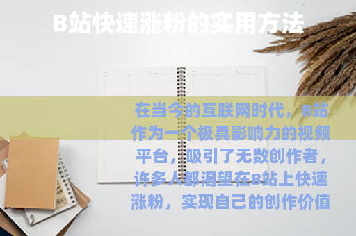 B站快速涨粉的实用方法