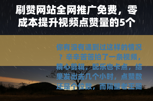 刷赞网站全网推广免费，零成本提升视频点赞量的5个实操方法