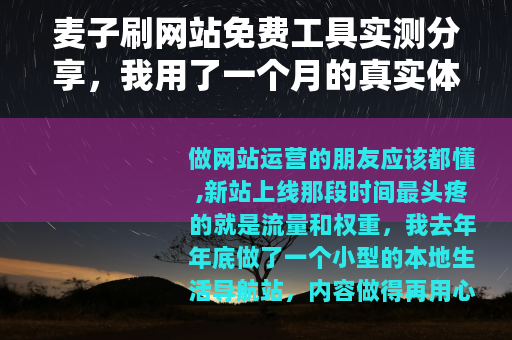 麦子刷网站免费工具实测分享，我用了一个月的真实体验与操作指南