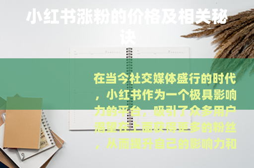 小红书涨粉的价格及相关秘诀