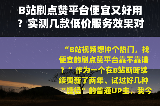 B站刷点赞平台便宜又好用？实测几款低价服务效果对比