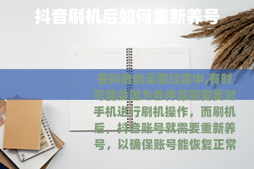 抖音刷机后如何重新养号