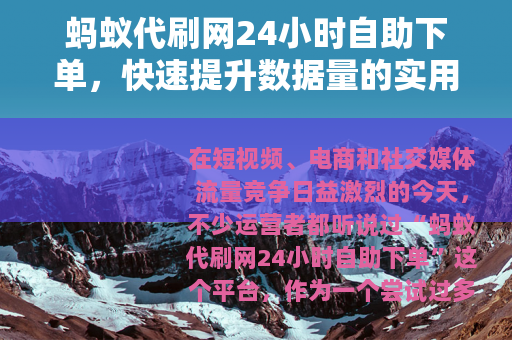 蚂蚁代刷网24小时自助下单，快速提升数据量的实用评测与操作指南