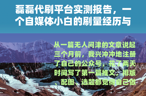 磊磊代刷平台实测报告，一个自媒体小白的刷量经历与思考分享