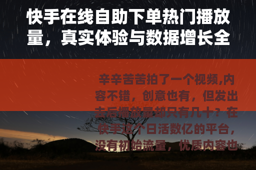 快手在线自助下单热门播放量，真实体验与数据增长全攻略