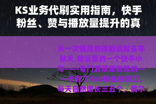 KS业务代刷实用指南，快手粉丝、赞与播放量提升的真实体验