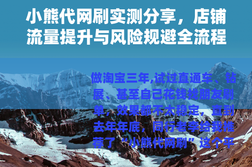 小熊代网刷实测分享，店铺流量提升与风险规避全流程指南