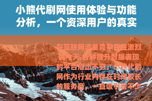 小熊代刷网使用体验与功能分析，一个资深用户的真实分享