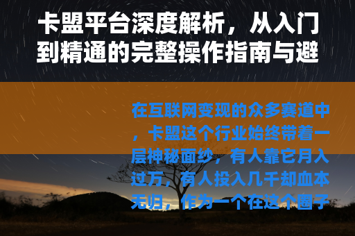 卡盟平台深度解析，从入门到精通的完整操作指南与避坑心得