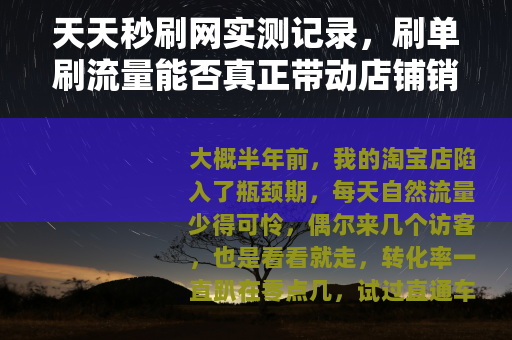 天天秒刷网实测记录，刷单刷流量能否真正带动店铺销量？