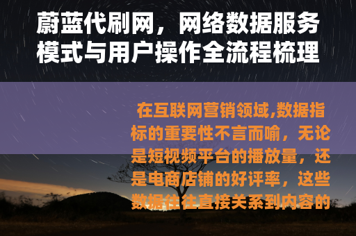 蔚蓝代刷网，网络数据服务模式与用户操作全流程梳理