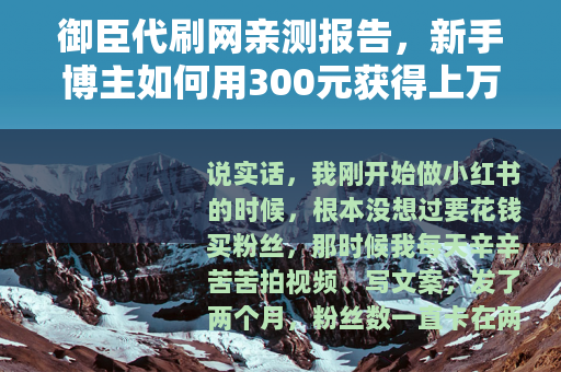 御臣代刷网亲测报告，新手博主如何用300元获得上万粉丝？