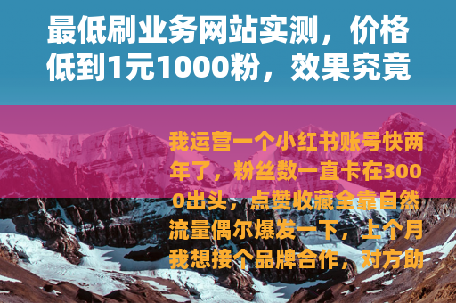 最低刷业务网站实测，价格低到1元1000粉，效果究竟如何？