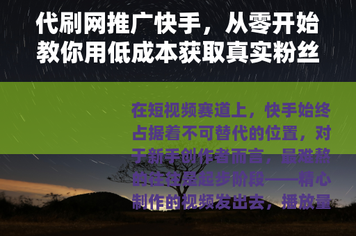代刷网推广快手，从零开始教你用低成本获取真实粉丝的完整流程