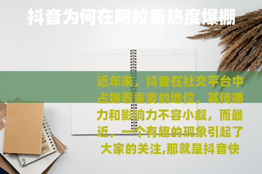 抖音为何在阿拉善热度爆棚