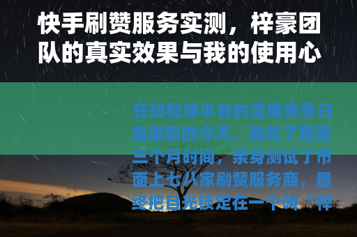 快手刷赞服务实测，梓豪团队的真实效果与我的使用心得