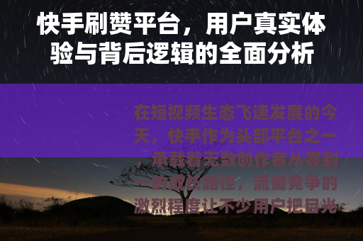 快手刷赞平台，用户真实体验与背后逻辑的全面分析