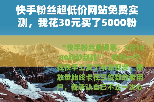 快手粉丝超低价网站免费实测，我花30元买了5000粉的真实经历