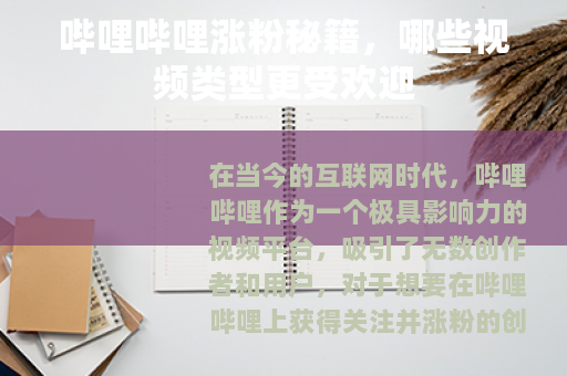 哔哩哔哩涨粉秘籍，哪些视频类型更受欢迎