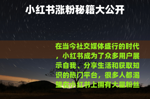 小红书涨粉秘籍大公开 小红书涨粉秘籍大公开