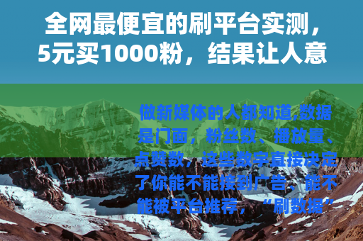 全网最便宜的刷平台实测，5元买1000粉，结果让人意外