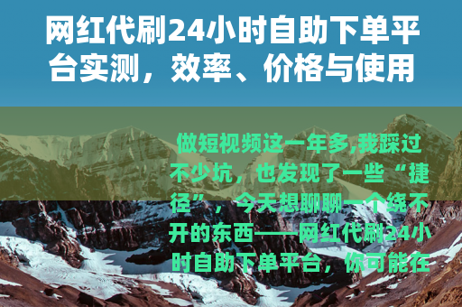 网红代刷24小时自助下单平台实测，效率、价格与使用心得全记录