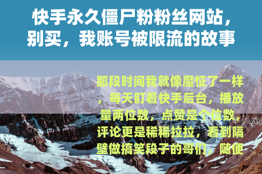 快手永久僵尸粉粉丝网站，别买，我账号被限流的故事