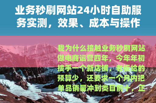 业务秒刷网站24小时自助服务实测，效果、成本与操作全流程记录