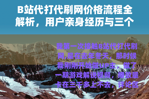 B站代打代刷网价格流程全解析，用户亲身经历与三个月后的代价