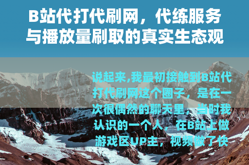 B站代打代刷网，代练服务与播放量刷取的真实生态观察（26字）