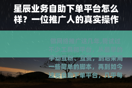 星辰业务自助下单平台怎么样？一位推广人的真实操作记录