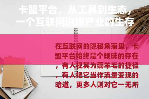 卡盟平台，从工具到生态，一个互联网边缘产业的生存逻辑