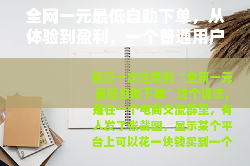 全网一元最低自助下单,从体验到盈利,一个普通用户的完整记录 全网一元最低自助下单,从体验到盈利,一个普通用户的完整记录