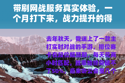 带刷网战服务真实体验，一个月打下来，战力提升的得与失