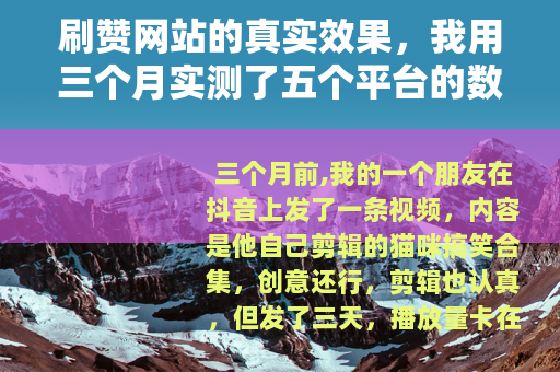 刷赞网站的真实效果，我用三个月实测了五个平台的数据变化