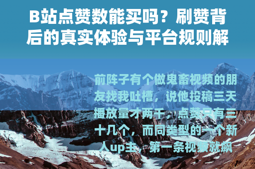 B站点赞数能买吗？刷赞背后的真实体验与平台规则解析