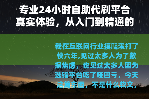 专业24小时自助代刷平台真实体验，从入门到精通的完整使用指南