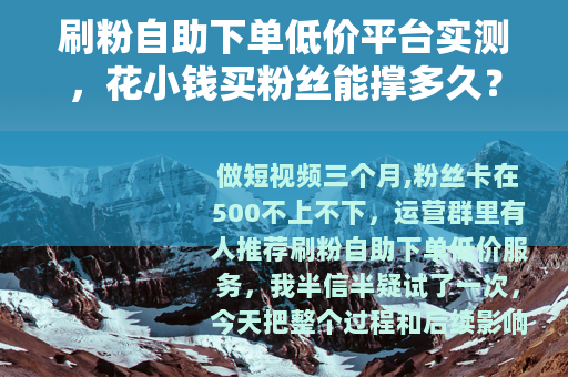 刷粉自助下单低价平台实测，花小钱买粉丝能撑多久？