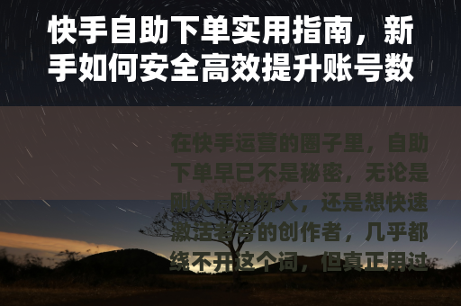 快手自助下单实用指南，新手如何安全高效提升账号数据？