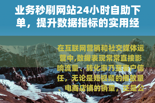 业务秒刷网站24小时自助下单，提升数据指标的实用经验与操作指南