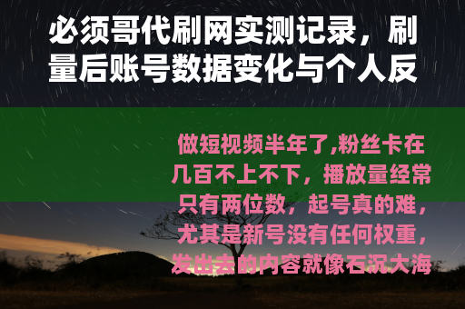必须哥代刷网实测记录，刷量后账号数据变化与个人反思